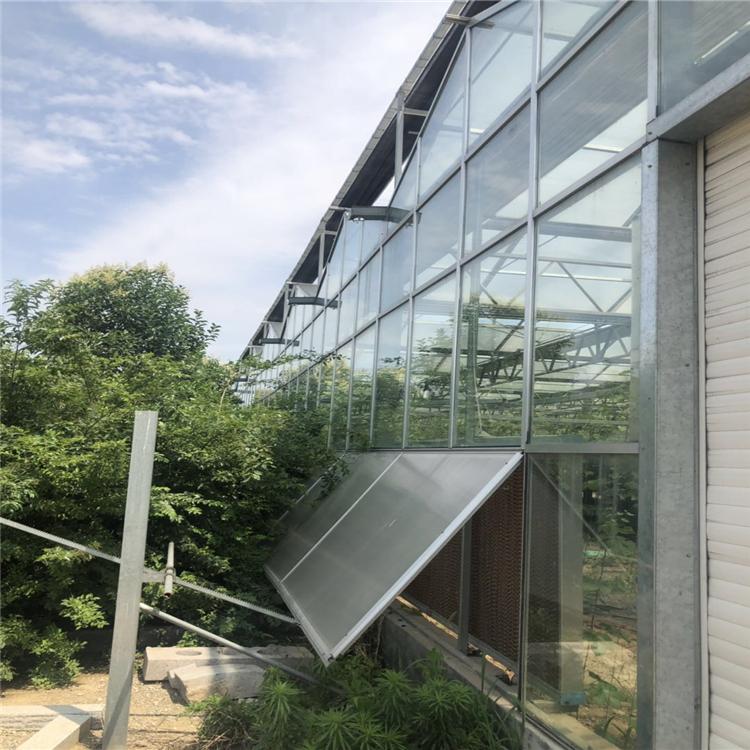 智能温室发展新方向