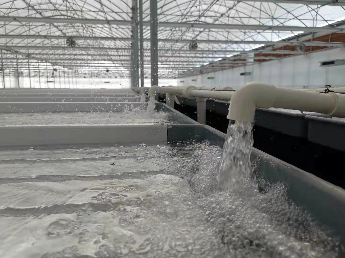 水产养殖温室